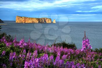 Beautiful view of rocher perce in Gaspesie, CAnada with purple flowers in foreground