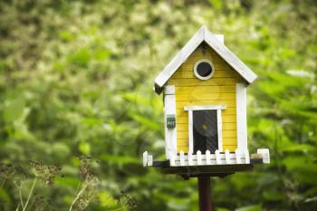 Little yellow birdhouse on stand in the middle of a garden