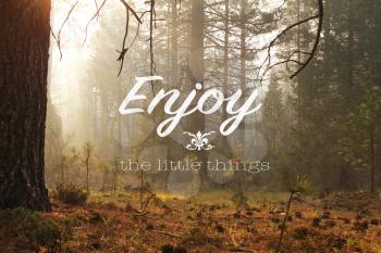 Inspirational quote Enjoy the little things on a picture with an atmosphere in a misty forest early in the morning 