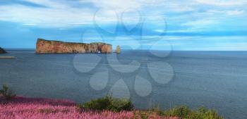 Beautiful view of The Rocher Perce with pink flowers in Perce city, Gaspesie in Quebec province. 