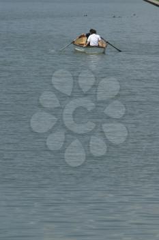 Rowing Stock Photo