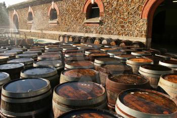 Wine Casks Stock Photo
