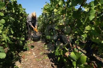 Cultivated Land Stock Photo