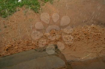 Muddy Water Stock Photo