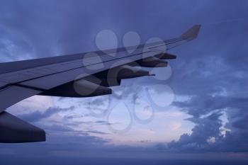 Wing Surface Stock Photo