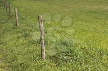 Barrier Stock Photo