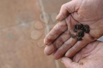 Human Hands Stock Photo