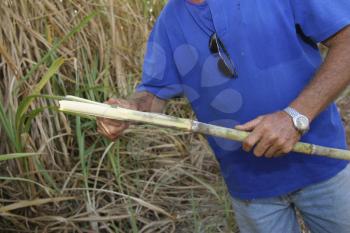 Harvest Stock Photo