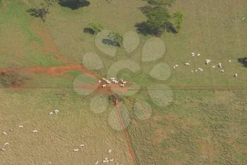 Agricultural Land Stock Photo