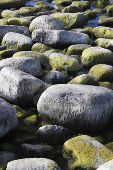 Rocky Stock Photo