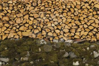 Logging Stock Photo