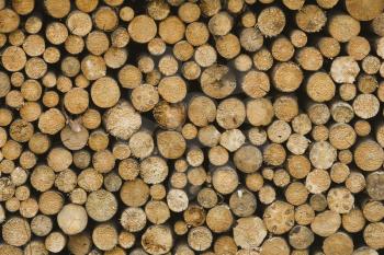 Lumber Stock Photo