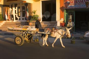 Carriage Stock Photo