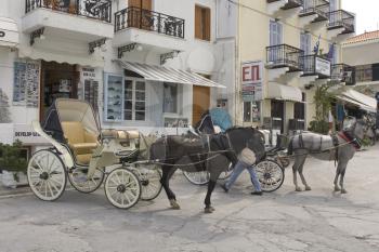 Working Animals Stock Photo