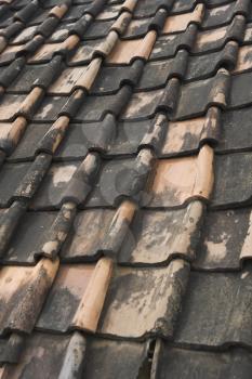 Roof Tile Stock Photo