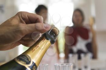 Champagne Bottle Stock Photo