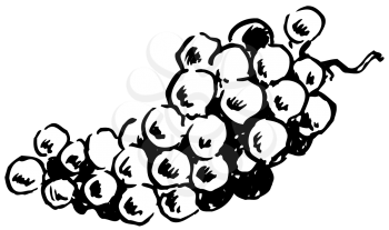 Royalty Free Clipart Image of Grapes