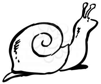 Royalty Free Clipart Image of a Snail