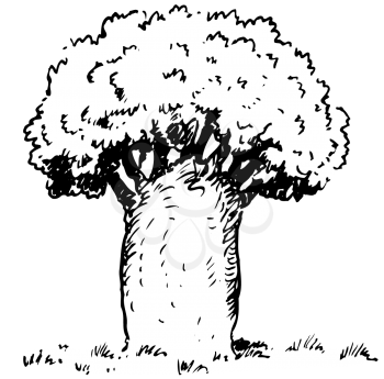 Royalty Free Clipart Image of a Tree With a Thick Trunk
