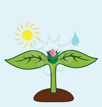 Royalty Free Clipart Image of a Plant