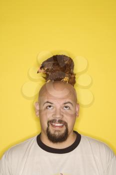 Royalty Free Photo of a Man With a Golden Laced Wyandotte Chicken on His Head