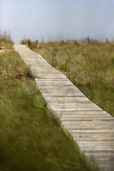 Royalty Free Photo of a Wooden Access Path to a Beach on Bald Head Island, North Carolina