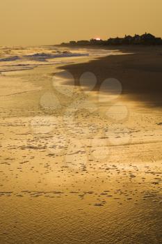 Royalty Free Photo of a Golden beach at sunset