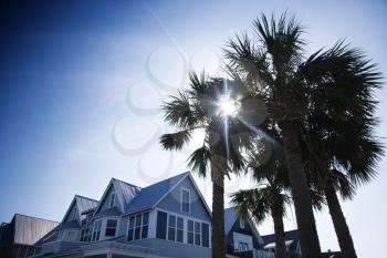 Royalty Free Photo of a House With Palm Trees on Bald Head Island, North Carolina