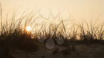 Royalty Free Photo of the Sunset Over a Beach Sand Dune on Bald Head Island, North Carolina