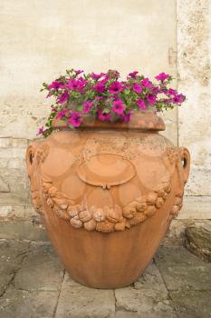 Royalty Free Photo of a Clay Pot With Pink Petunia Flowers on a Sidewalk in Venice, Italy