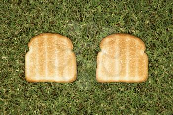 Royalty Free Photo of Two Slices of Toast on Grass