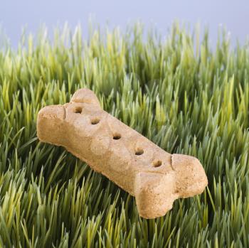 Royalty Free Photo of a Dog Treat Laying in Grass
