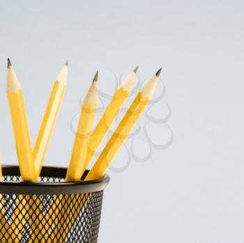 Royalty Free Photo of a Group of Pencils in a Pencil Holder