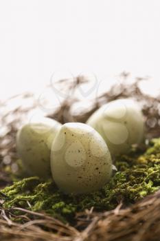 Royalty Free Photo of a bird's nest with three speckled eggs