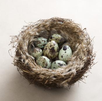 Royalty Free Photo of Speckled Eggs in a Nest