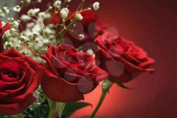 Royalty Free Photo of a Close-up of a Bouquet of Red Roses With Baby's Breath