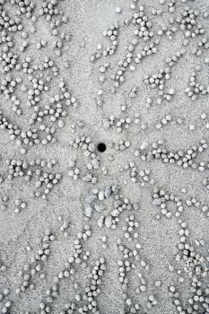 Royalty Free Photo of Small Pebbles and Hole in the Sand in Daintree Rainforest, Australia