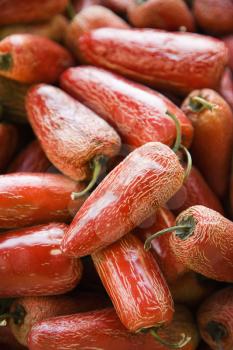 Royalty Free Photo of a Pile of Red Serrano Peppers at a Produce Market