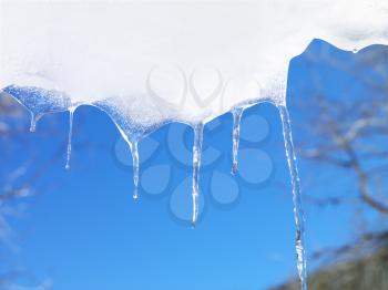 Icicles hanging down from snow and ice with a blue sky in the background. Horizontal shot.