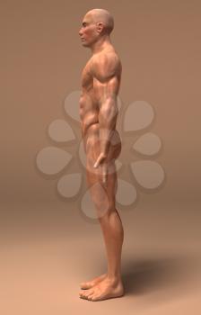 Royalty Free 3d Clipart Image of a Side View of a Muscular Man