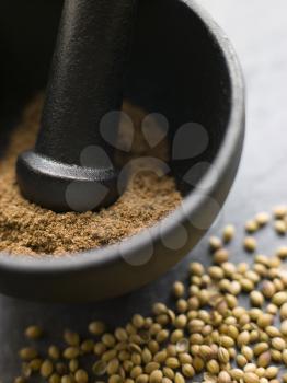 Royalty Free Photo of a Coriander Powder in a Pestle and Mortar with Coriander Seeds