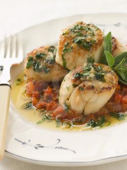 Royalty Free Photo of Pan Fried Scallops Piperade and Garlic Butter