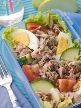 Royalty Free Photo of Tuna Salad Lunch Box