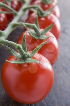 Royalty Free Photo of Vine Tomatoes