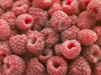 Royalty Free Photo of Fresh Raspberries