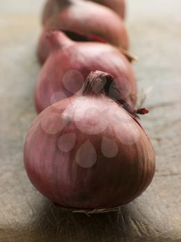 Royalty Free Photo of a Line of Red Onion