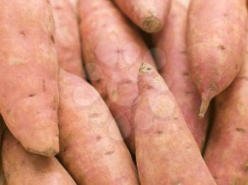 Royalty Free Photo of Sweet Potatoes