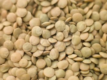 Royalty Free Photo of Green Lentils