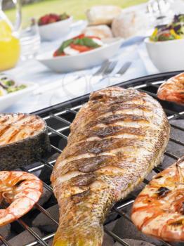 Royalty Free Photo of Fish and Prawns on a Grill