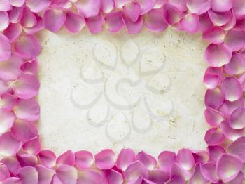 Royalty Free Photo of a Rose Petal Frame